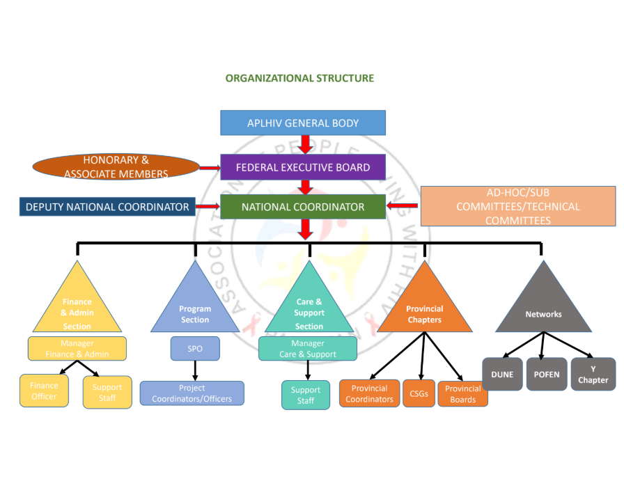 Organizational Chart